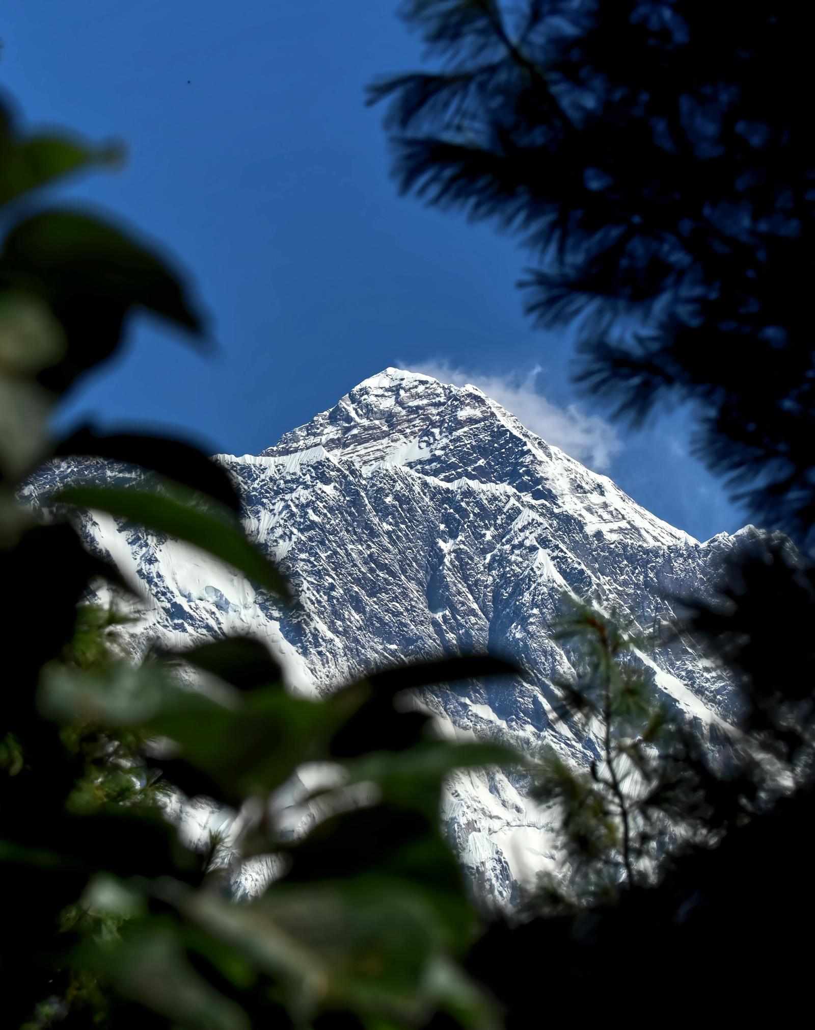 Short Steps, Grand Views: The Magical Everest View Trek Adventure