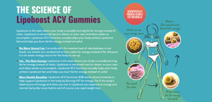 TruFull LipoBoost Gummies – Is It Worth Buying? User Opinion!