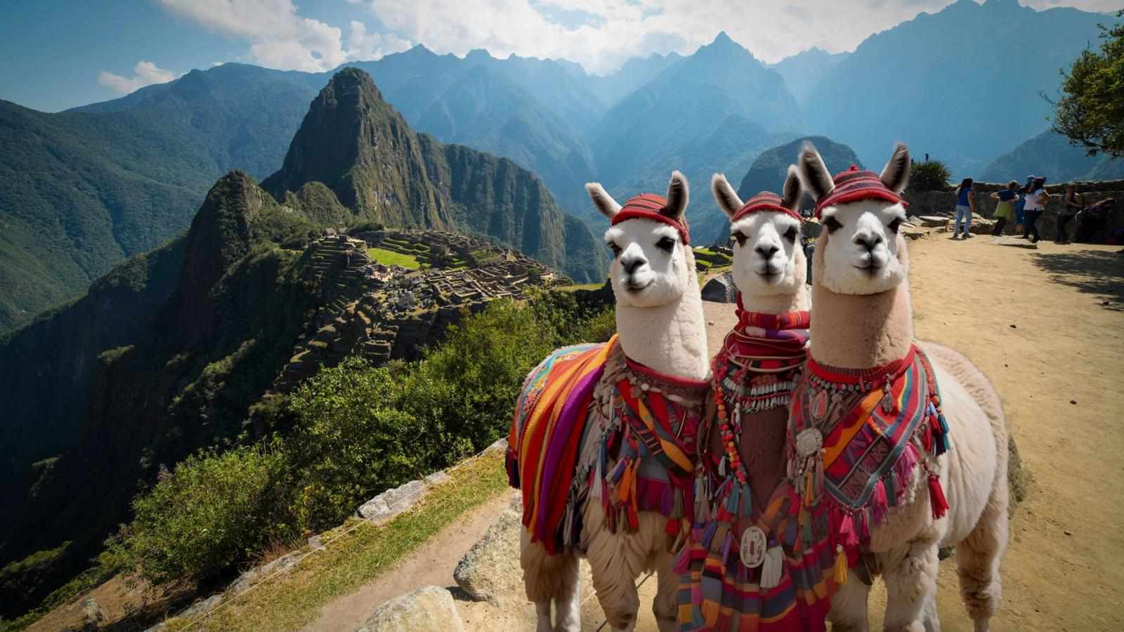 Short Inca Trail Tours Guide for First Time Machu Picchu Hikers