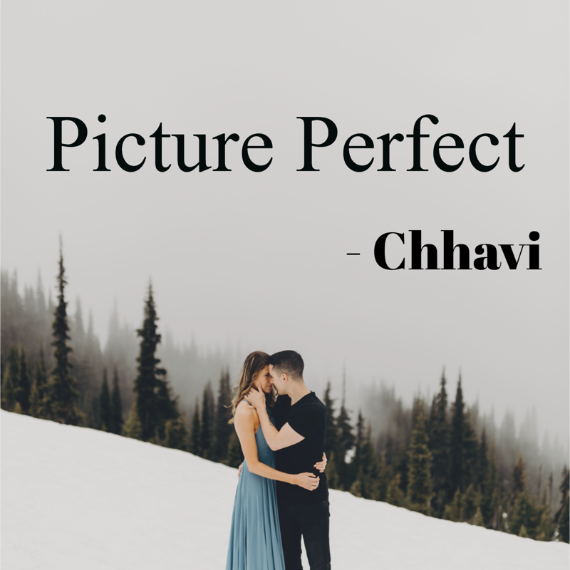 Picture Perfect