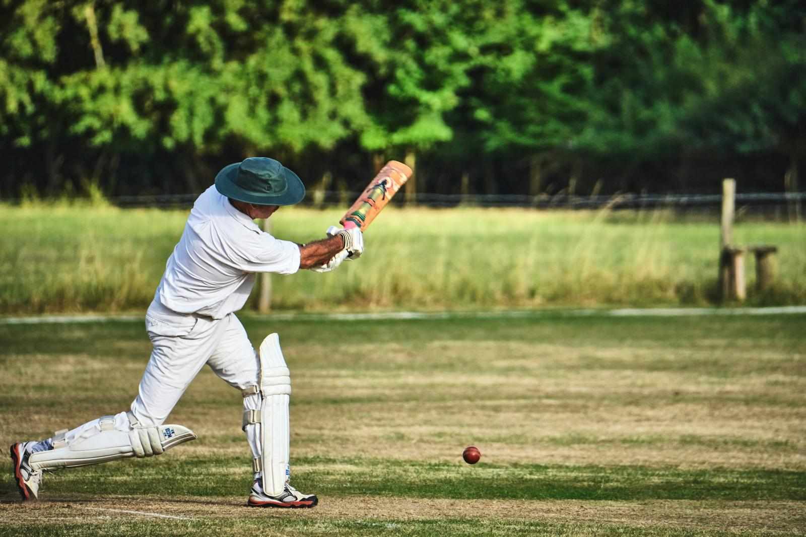 Arayan ka cricket safar