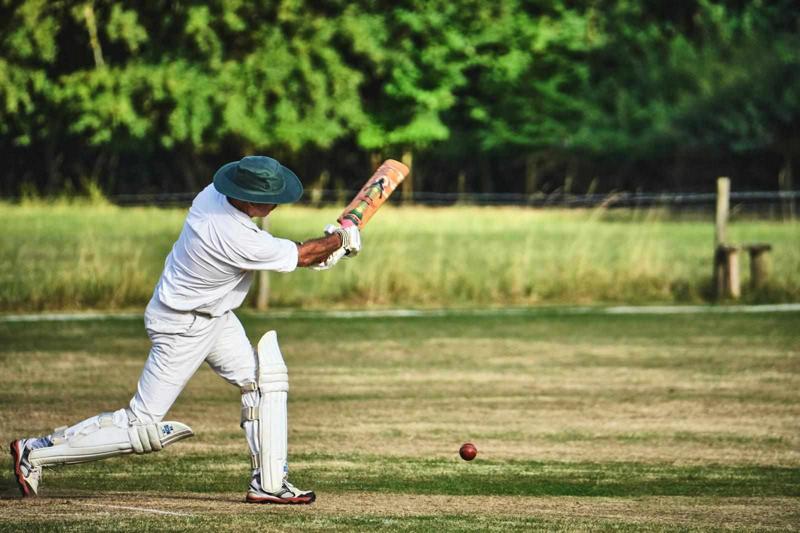 Arayan ka cricket safar