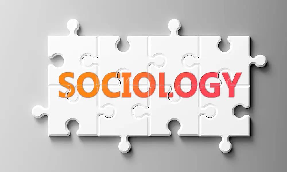 Sociology meaning and it's significance