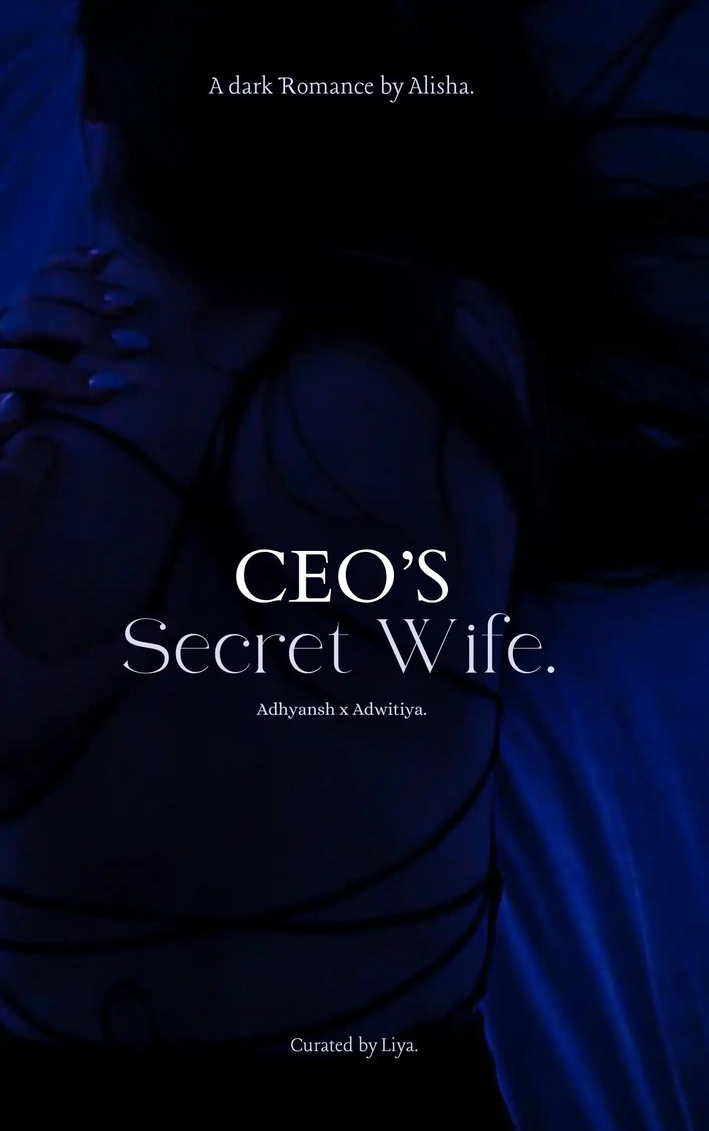 CEO’S Secret Wife Full Ebook!