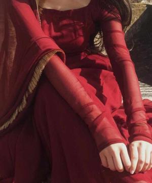 Pranishawriters logo