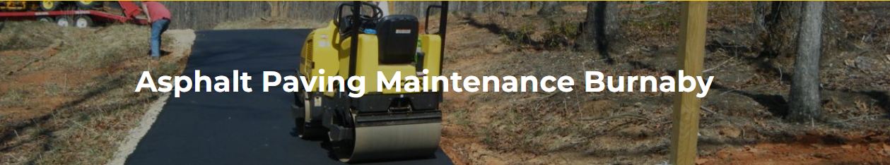 Preserving Your Investment with Expert Maintenance