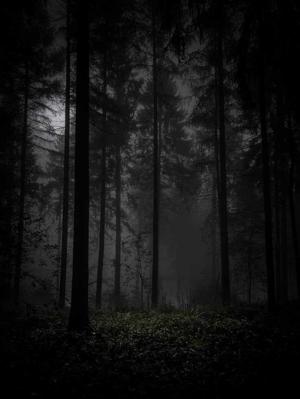 Chapter 3: Midnight Shadow