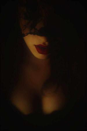 thevelvetruin logo