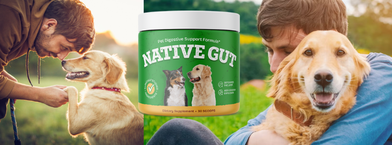 Daily Gut Health Support for Better Balance and Comfort