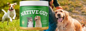 Support Digestive Wellness & Overall Health with NativeGut