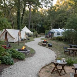 23. Camping Chaos