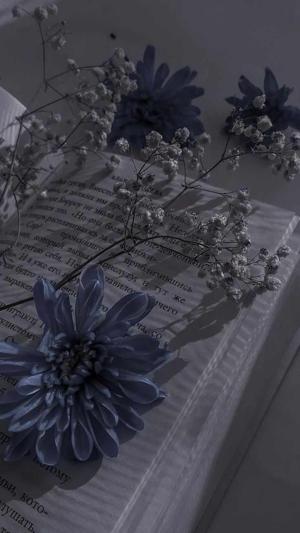 Ink_Midnightdraft logo