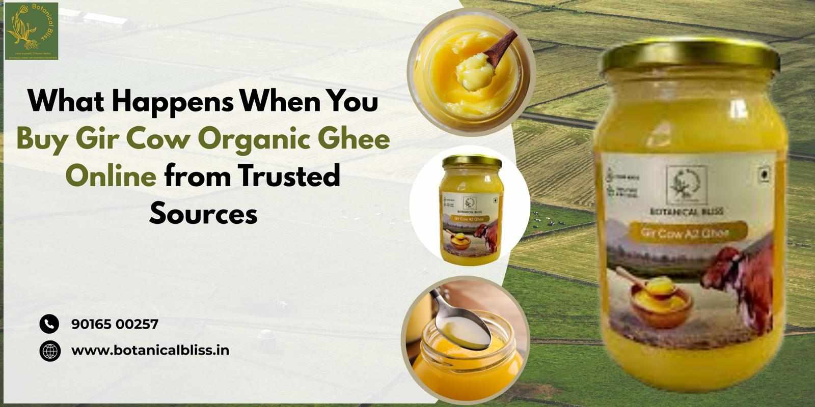 What Happens When You Buy Gir Cow Organic Ghee Online from Trusted Sources