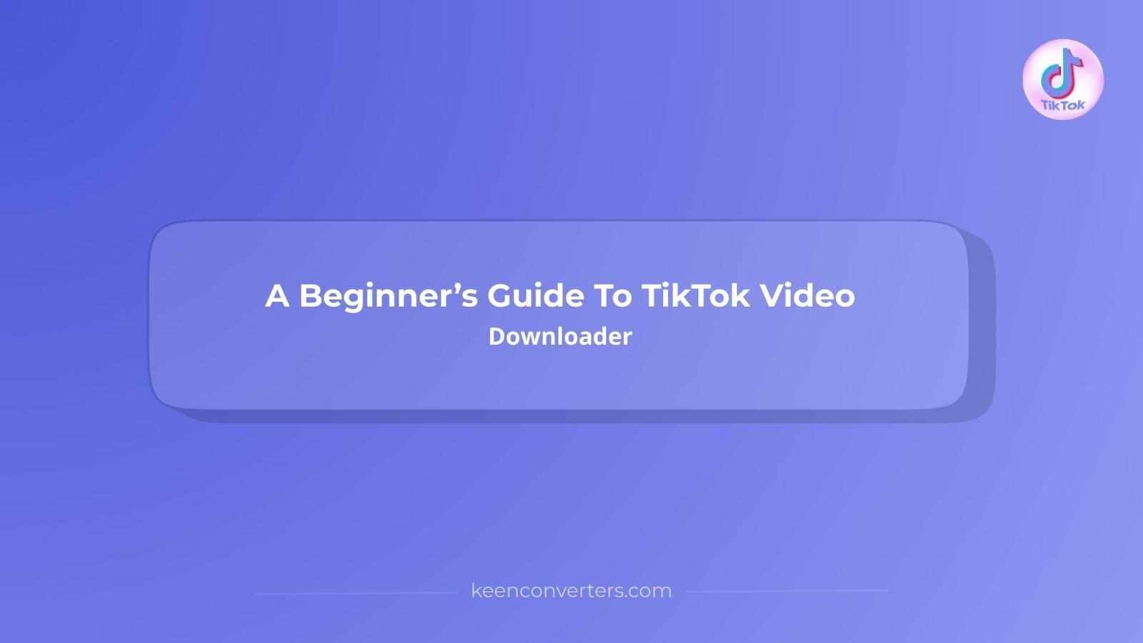 A Beginner’s Guide To TikTok Video Downloader