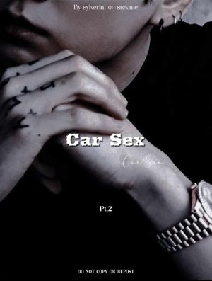 Car Sex