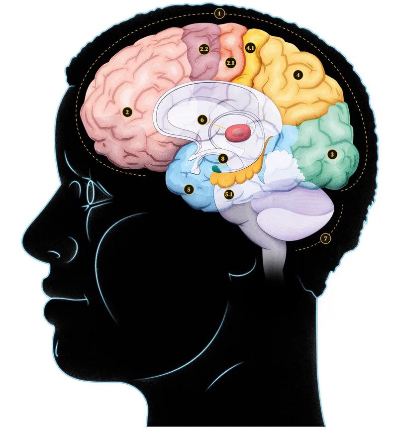 Does Brain Booster Really Work? Honest Facts for 2026 Guide