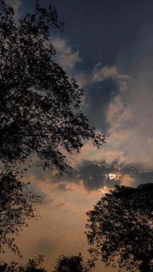 {6} Rumours and Restlessness