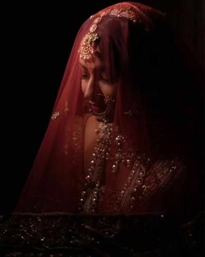 ✧  Veil of Silence ✧