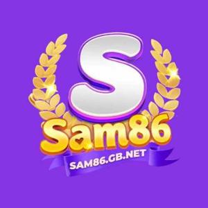sam86gbnet