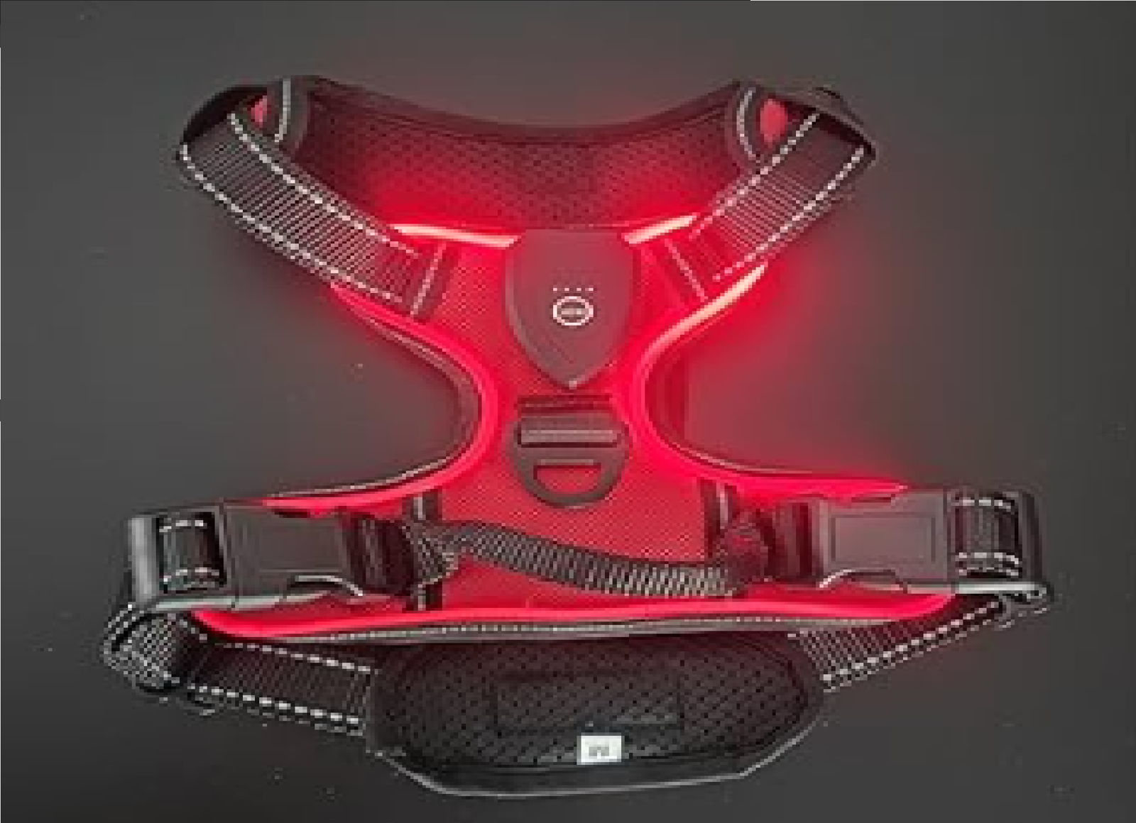 Red Paws LED Harness