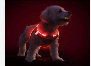 Red Paws LED Harness Which least length should I get?