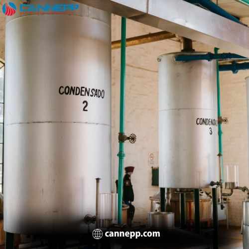 Vancouver Commercial Boilers: Expert Solutions for Reliable Heating Systems