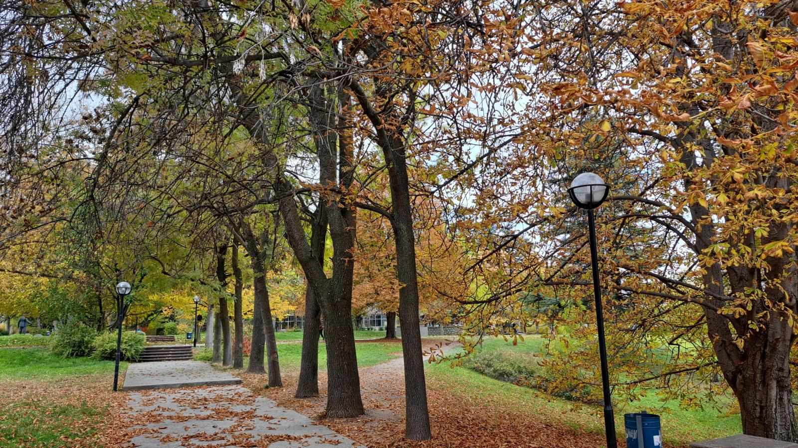 Park Las Vegas NV Outdoor Activities Every Visitor Loves