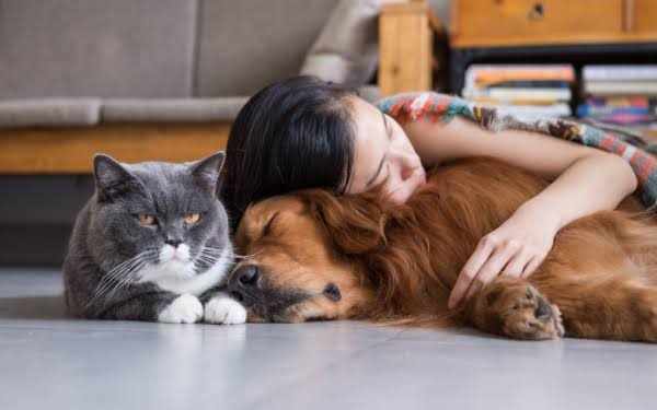 A First-Time Pet Owner's Guide to Pet Insurance