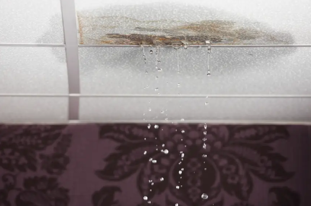 Beyond the Pail: Hiring a Water Leakage Specialist Singapore