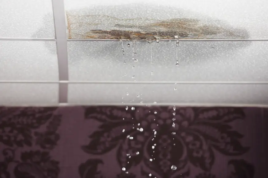 Stop the Drip: The Ultimate Homeowner’s Guide to Solving Water Leakage