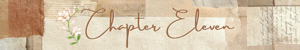 Chapter Eleven
