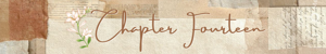 Chapter Fourteen