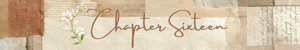 Chapter Sixteen