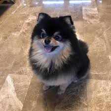 Marinna Dos Reis Delgado_29 logo