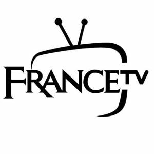FRANCE TV logo