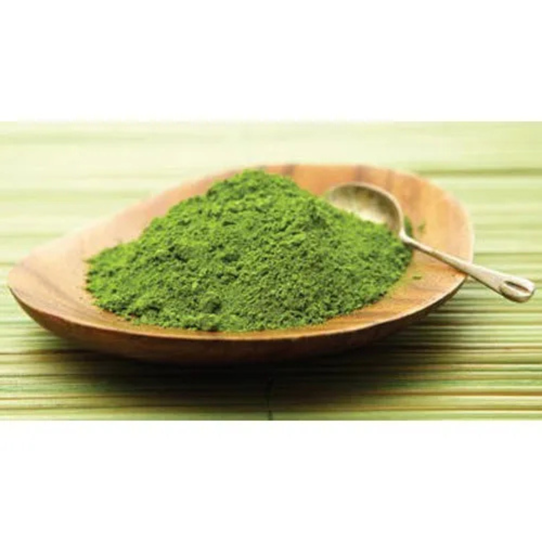 Best Manufacturers Green Tea Extract for Pharmaceutical and Herbal Industries
