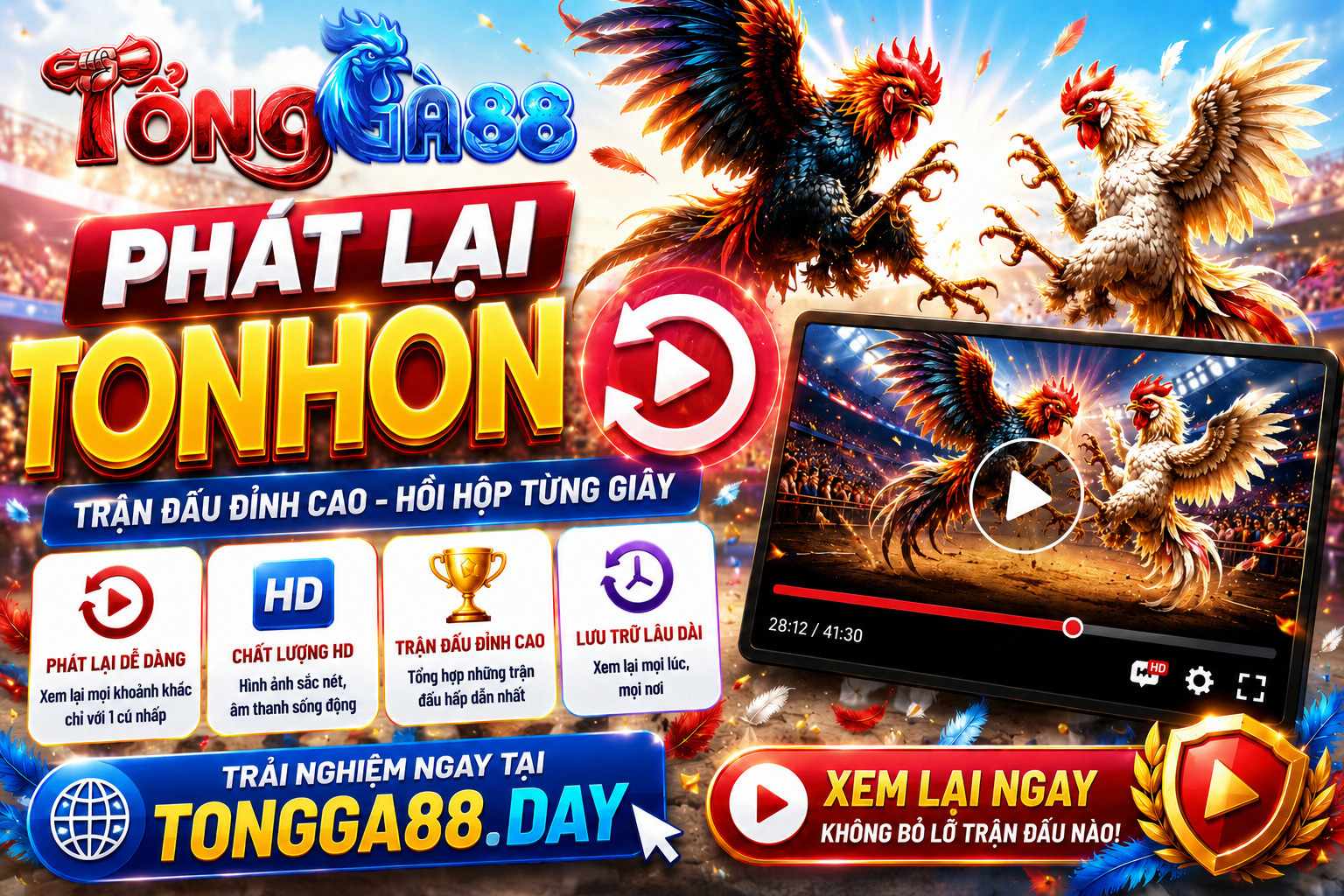 Phát Lại TONHON - Kho Video Nổi Bật Dành Cho Người Theo Dõi TỔNG GÀ 88