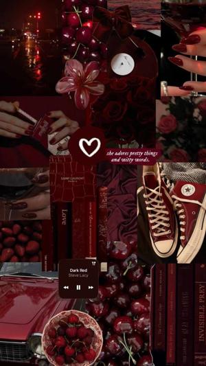 daisy.diaries  logo