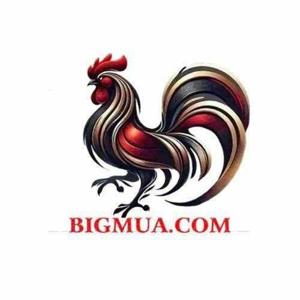 ĐÁ GÀ THOMO BIGMUA