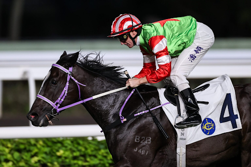 Horse Race Odds Guide For Beginners: How To Read And Compare