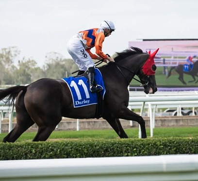 How To Enjoy A Day At A Horse Race In Chennai