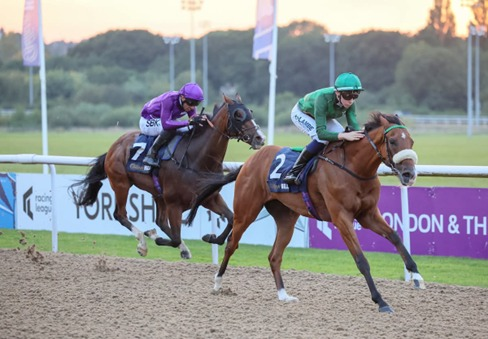 Horse Race Odds Explained for Smarter Betting Decisions