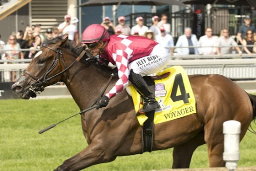 Bangalore Horse Race Card: How to Read and Analyze Race Day Information