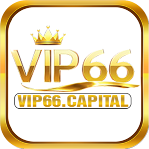 vip66capital