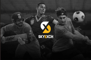 Skyinplayy.com Overview: Features, User Experience, and Important Insights