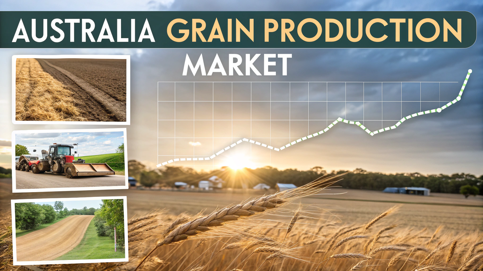 Australia Grain Production Market  Projected to Reach 94.3 million tons by 2034