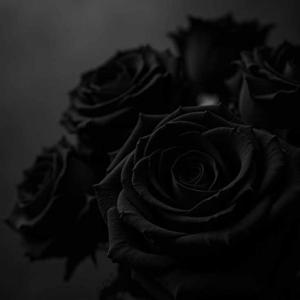 Chapter 12 - A Storm Awaiting the Prince