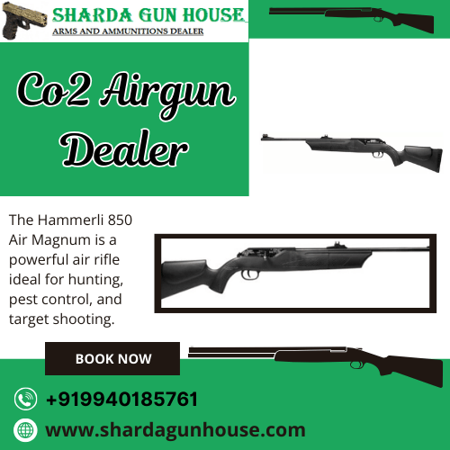 5 Powerful CO2 Airgun Dealer Picks | Sharda Gun House
