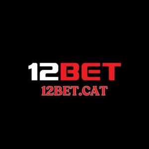 12Betcat logo