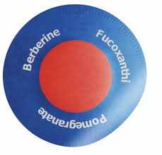 What is Purisaki weight loss?